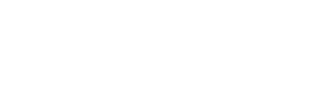 VSM